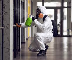 Best Emergency Mold Remediation  in Forest Hills, PA